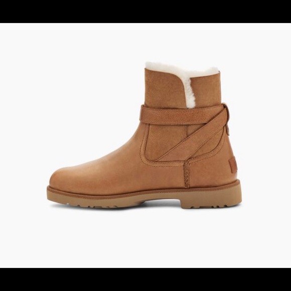 UGG Shoes - Ugg Romely Buckle BRAND NEW